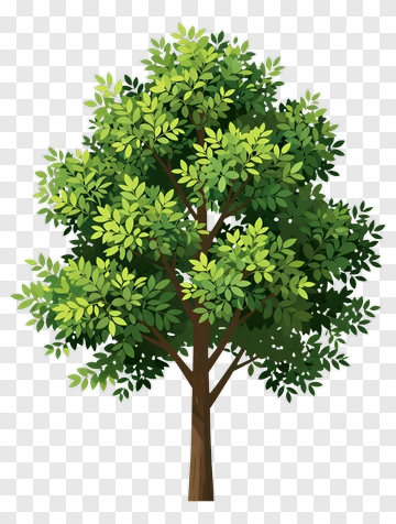 Green Tree PNG