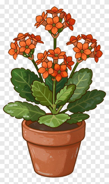 Colorful Potted Flower Plant PNG