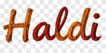 Haldi Spice Text In Colorful Powder PNG
