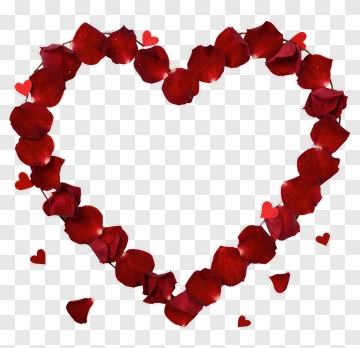 Heart Shape Made Of Red Rose Petals PNG