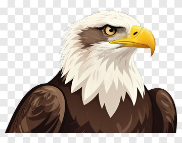 Cartoon Bald Eagle Head PNG