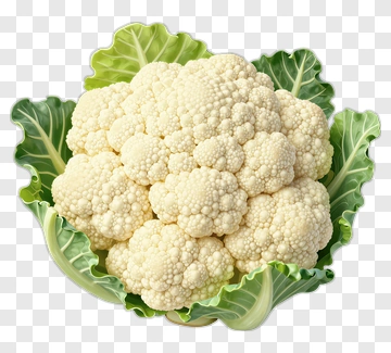 Fresh Cauliflower With Green Leaves PNG