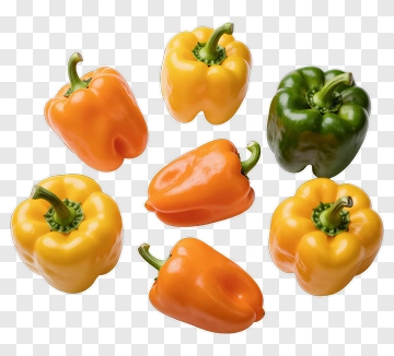 Colorful Bell Peppers PNG