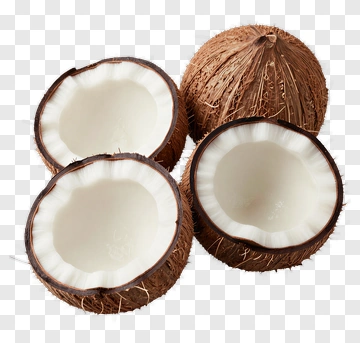 Coconuts Halved And Whole PNG