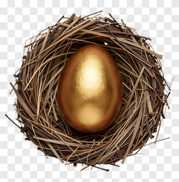 Golden Egg In A Nest PNG