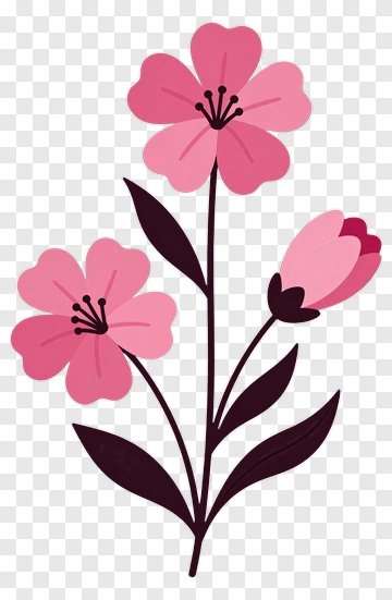 Colorful Pink Flower Bouquet PNG
