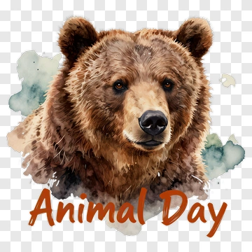 Watercolor Bear For Animal Day PNG