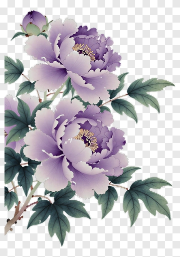 Purple Peony Flowers PNG