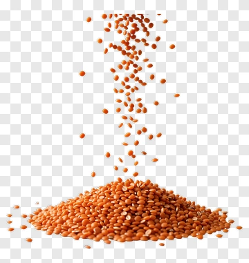Orange Lentils Falling From Above PNG