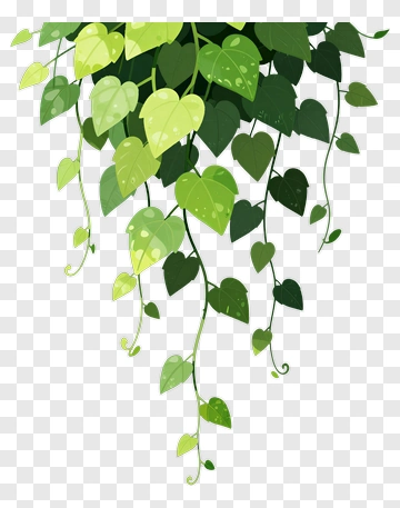 Green Leafy Vine PNG