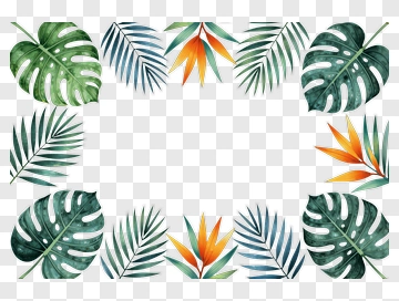 Tropical Leaf Frame PNG