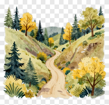 Scenic Forest Path In Autumn PNG