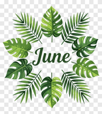 June With Tropical Leaves PNG