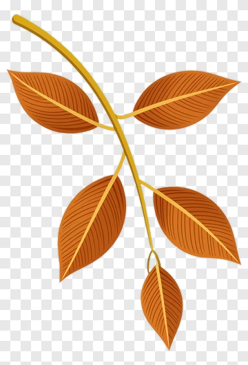 Autumn Leaf Branch PNG