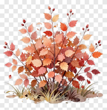 Colorful Autumn Bush PNG