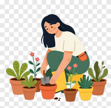Gardener Planting In Flower Pots PNG