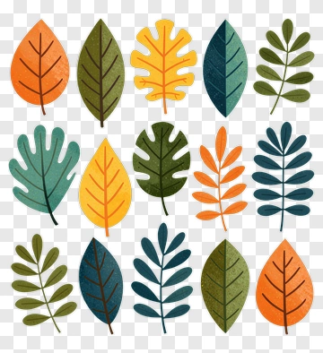 Colorful Leaves Collection PNG
