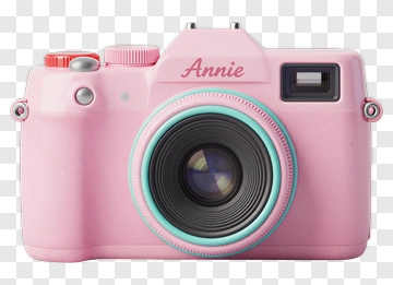 Pink Camera Named Annie PNG
