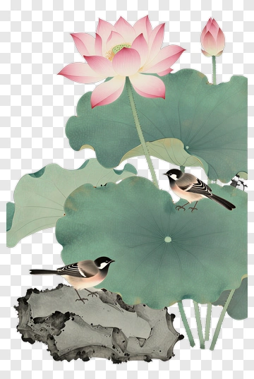 Lotus Flower With Birds And Leaves PNG