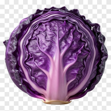 Purple Cabbage PNG