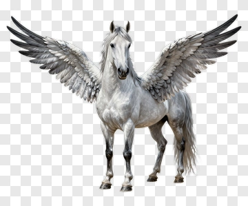 Winged Horse PNG