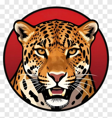 Cartoon Leopard Face PNG