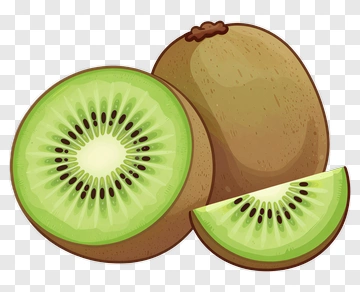 Sliced Kiwi Fruit PNG