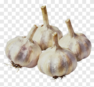 Fresh Garlic Bulbs PNG
