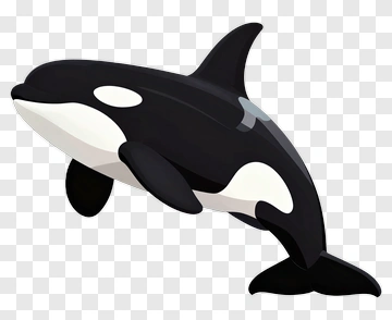 Cartoon Orca Swimming PNG