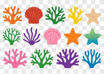 Colorful Coral And Shell Collection PNG
