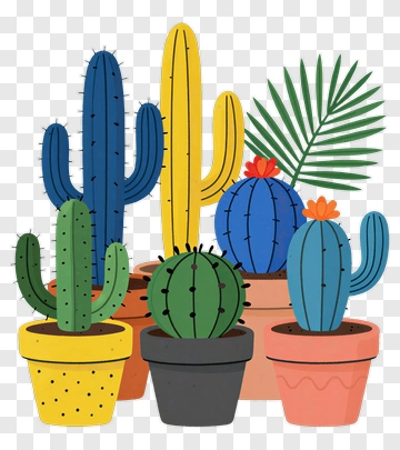 Colorful Cacti In Pots PNG