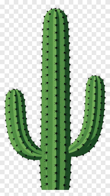 Green Cactus PNG