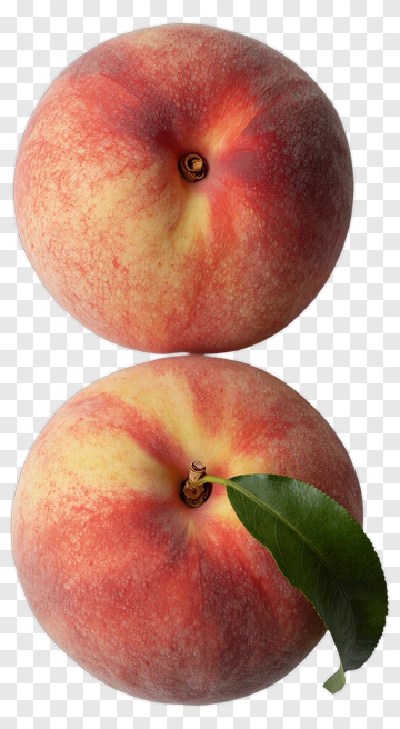 Fresh Red Apple With Leaf PNG