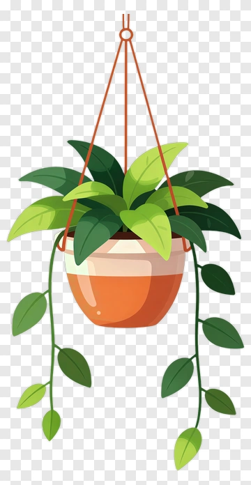 Hanging Potted Plant PNG