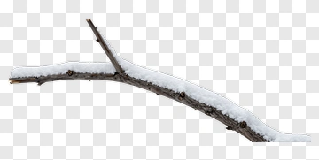 Snow-Covered Branch PNG