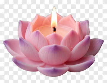 Pink Lotus Candle PNG