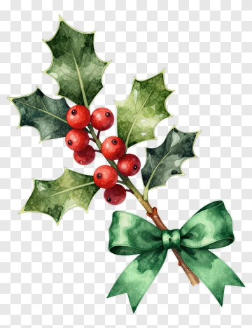 Watercolor Holly Branch With Red Berries And Green Bow PNG