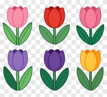 Colorful Tulips In Various Shades PNG