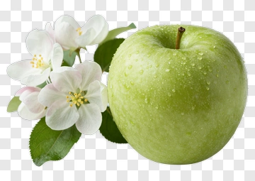 Green Apple With Blossoms PNG