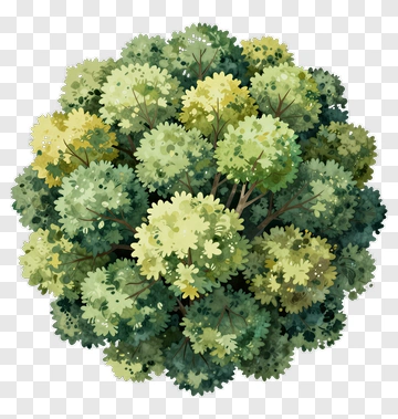 Colorful Tree PNG