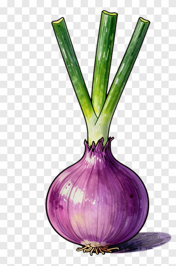 Purple Onion With Green Stems PNG
