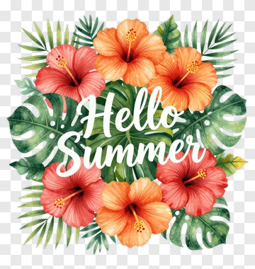 Hello Summer Floral Composition PNG