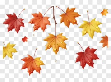Colorful Autumn Leaves PNG