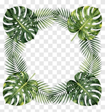 Tropical Leaf Frame PNG