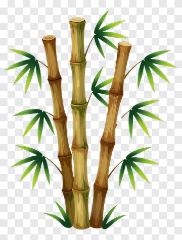 Bamboo Plant With Green Leaves PNG