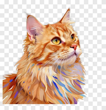 Orange Cat Portrait PNG