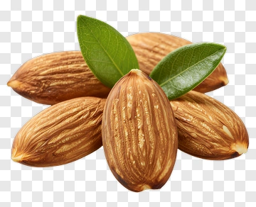 Almonds With Leaves PNG