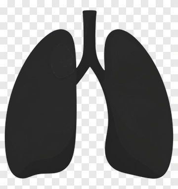 Black Lung Illustration PNG