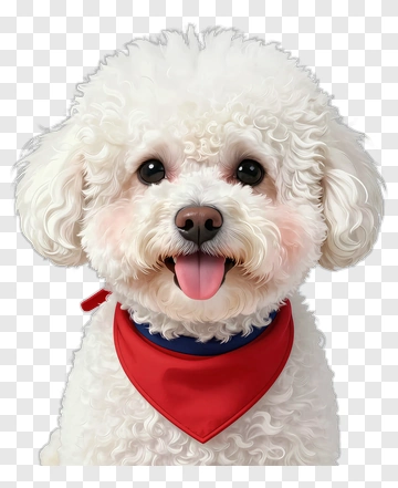 Cute Bichon Frise Dog With Red Bandana PNG