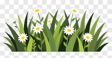 Flowering Grass With Daisies PNG